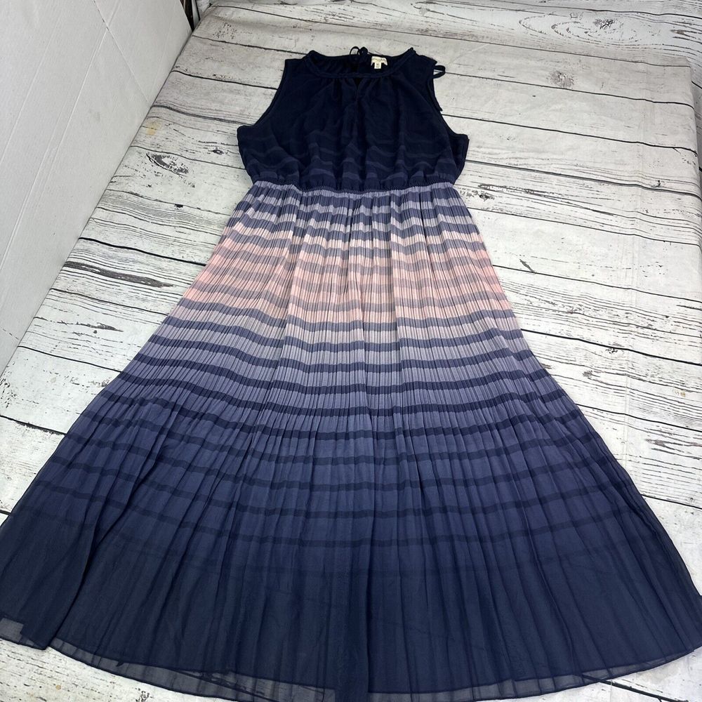 Maison Jules Navy and Pink Ombre Pleated Midi Dress